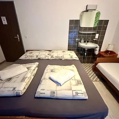 House Laerchenheim Hostel