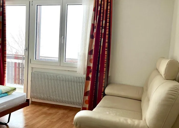 호스텔 House Laerchenheim Saas-Balen