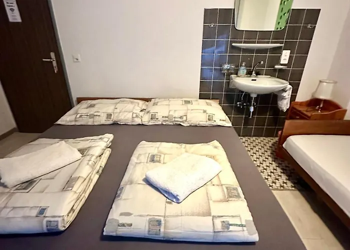 House Laerchenheim Hostel