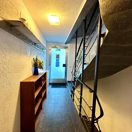 House Laerchenheim بيت شباب