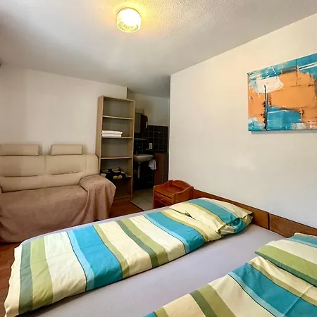 House Laerchenheim بيت شباب *