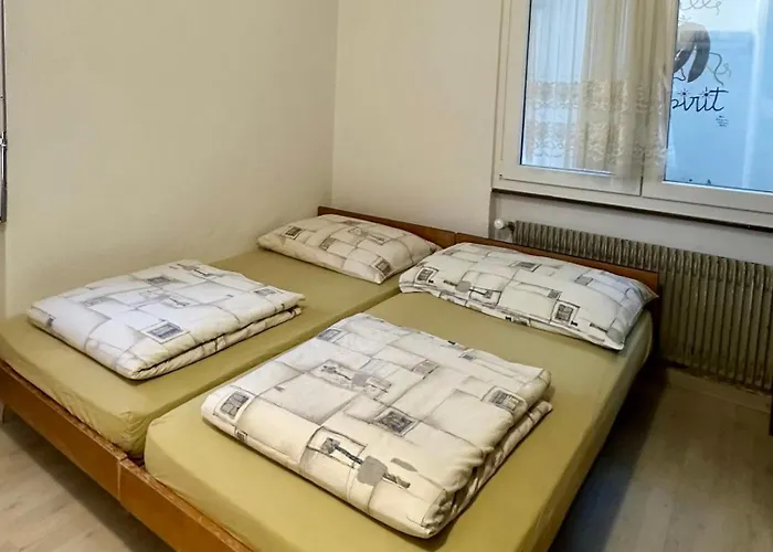 Hostel House Laerchenheim